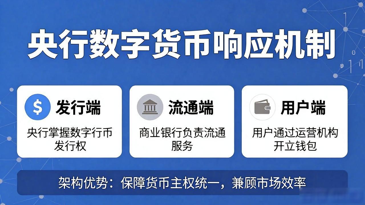 响应数字货币是什么？一文讲清楚央行数字货币的响应机制